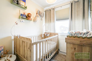 Photo 12- click for photo gallery